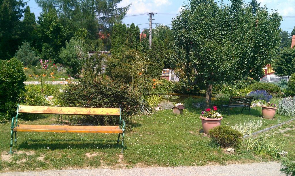 Németh